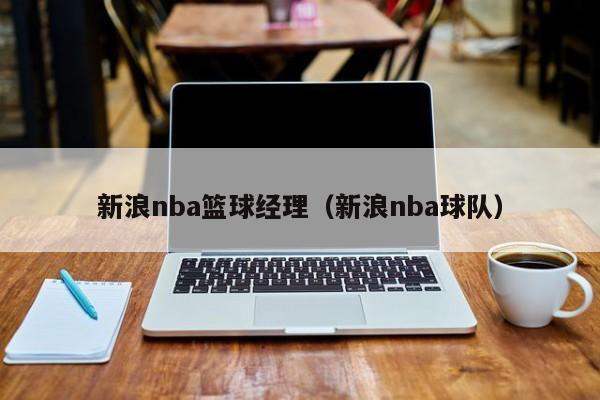 新浪nba篮球经理（新浪nba球队）